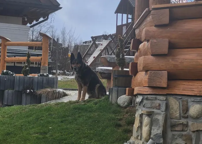 Bed & Breakfast I W Willi Na Ubocy Suche